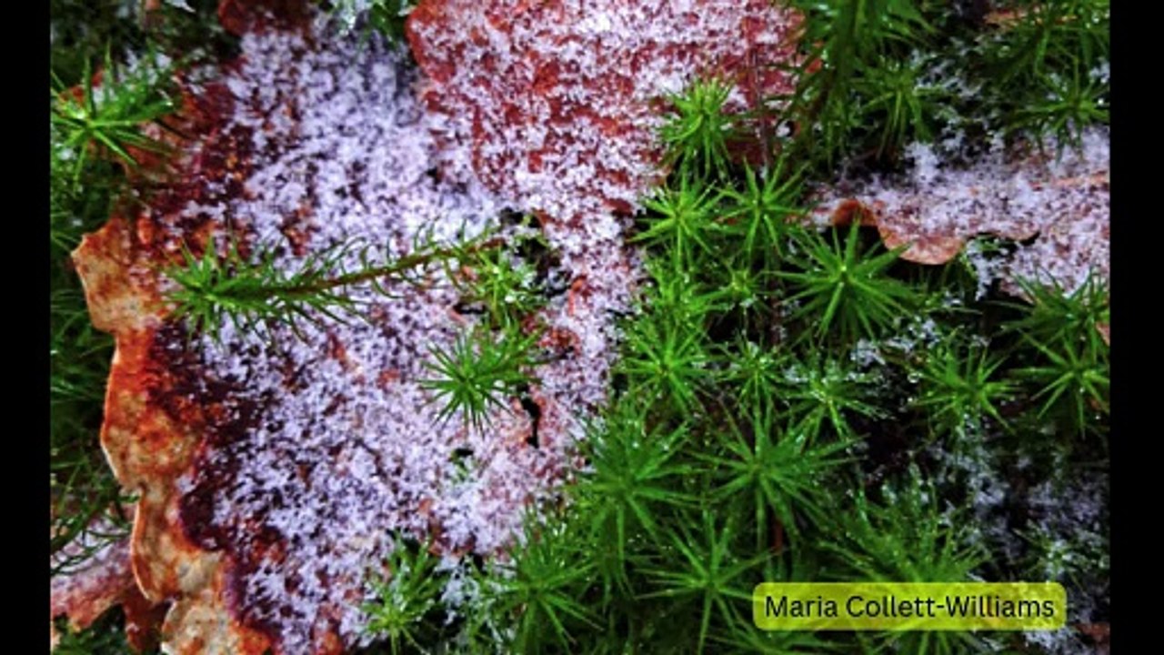 Picture This: Cold photographs!