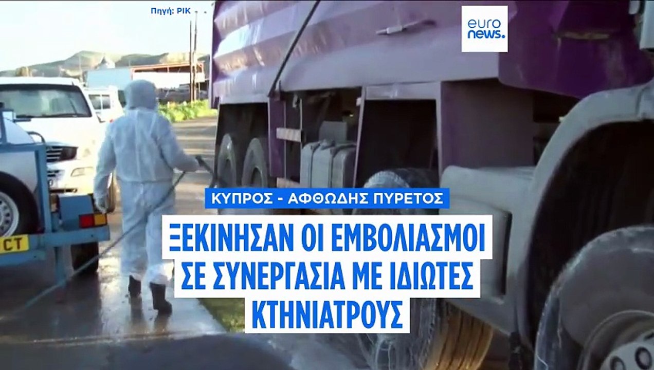 Κύπρος: Αγωνία και έκτακτα μέτρα για τον αφθώδη πυρετό - Σε απόγνωση οι κτηνοτρόφοι