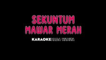 SEKUNTUM MAWAR MERAH - Karaoke Dangdut Nada Wanita [ ELVY SUKAESIH ]