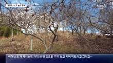 국민의힘 “논밭 600평, 조사해야”…정원오 “허위 정치공세”