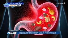 다이어트 실패자 1위 공개! 전신에 지방이 가득한 충격적인 상태?