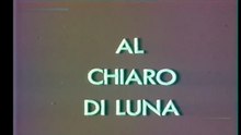 Al Chiaro Di Luna - Gli Animali Dei Boschi