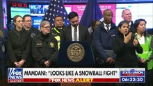 Insólito ataque en Nueva York: policías fueron agredidos con bolas de nieve