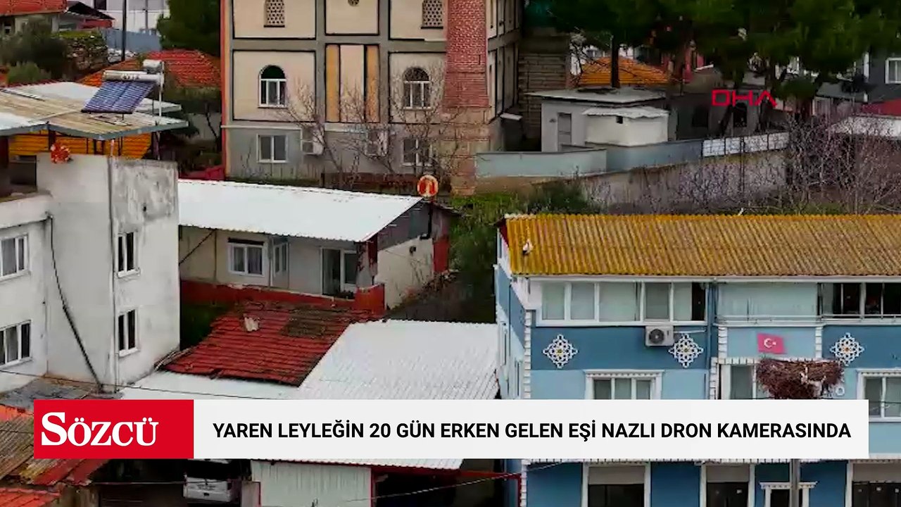 Yaren leyleğin 20 gün erken gelen eşi Nazlı dron kamerasında