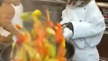 The chef lost his temper!