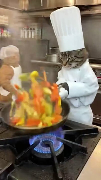 The chef lost his temper!