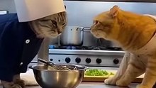 When the head chef and sous chef have different opinions on the recipe