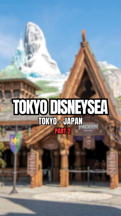 Part 2 : Access to Tokyo DisneySea ! 🎢🎡