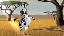 Dancing zebra
