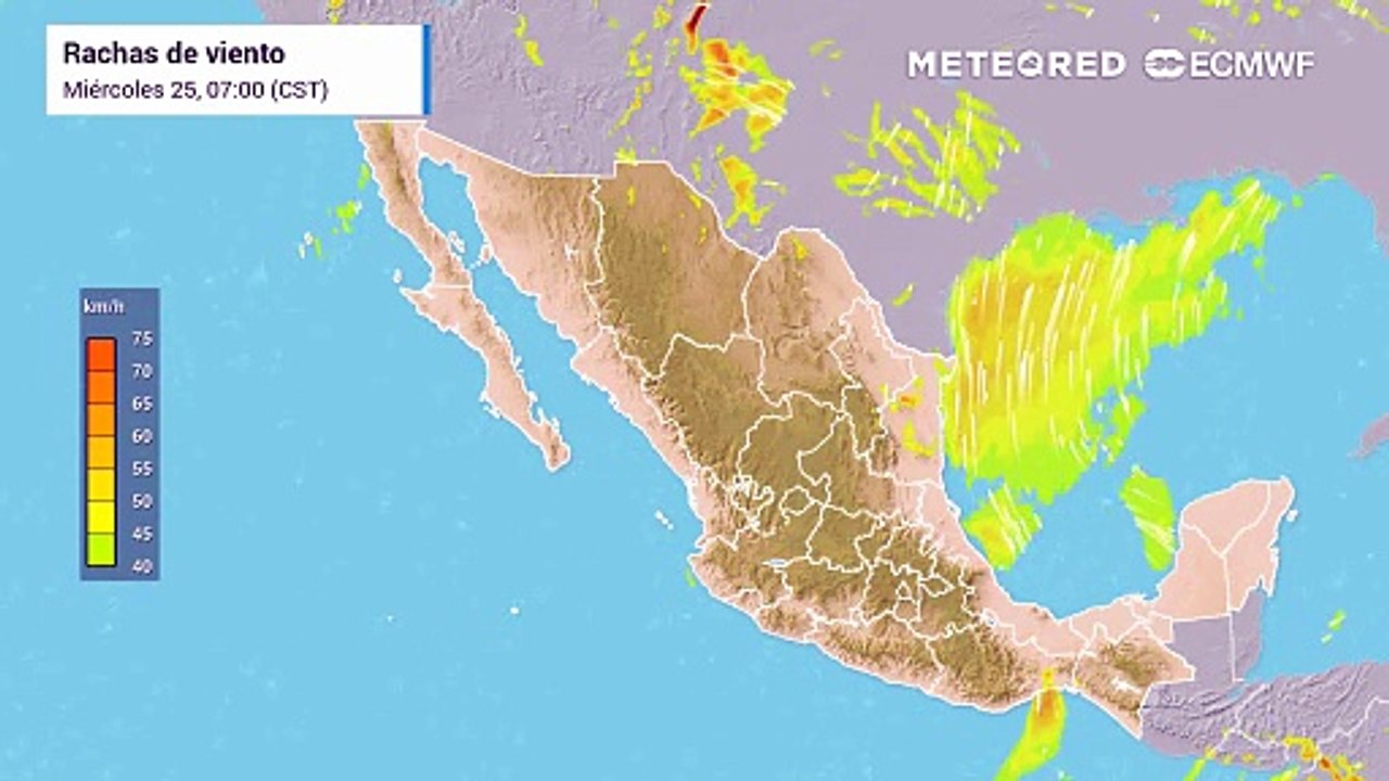 Evento de "Surada" se registra sobre el Noreste de México, el estado más afectado es Tamaulipas