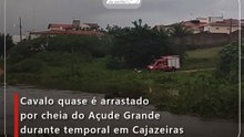 Cavalo quase é arrastado por cheia do Açude Grande durante temporal em Cajazeiras