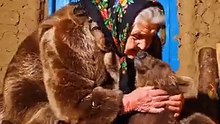 Seves a bear cub
