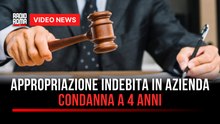 Appropriazione indebita in azienda, condanna a 4 anni