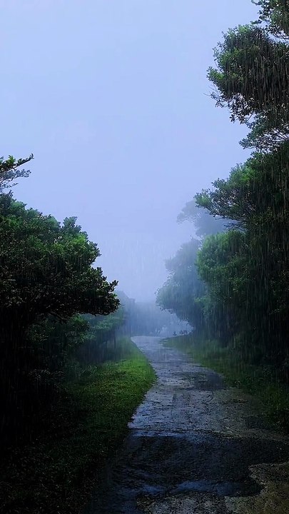 Rainy weather