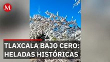 Heladas históricas en Tlaxcala: Municipios registran temperaturas bajo cero
