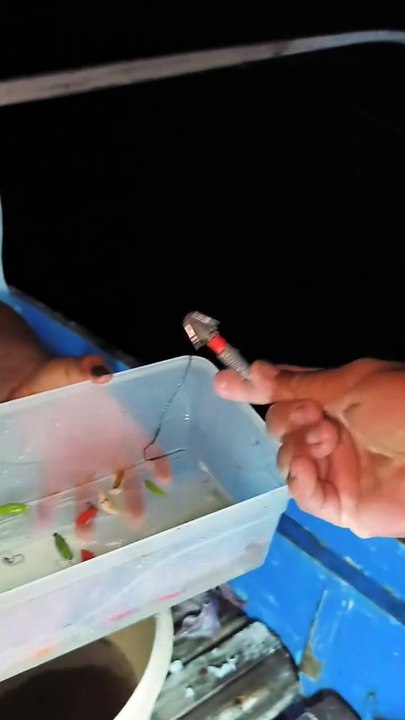 Fresh Raw Squid Tasting | Authentic Asian Style Seafood Mukbang