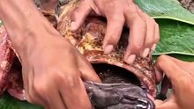 You Won't Believe What Was Inside This Big Fish! 😱🐟 | Mystery Discovery
