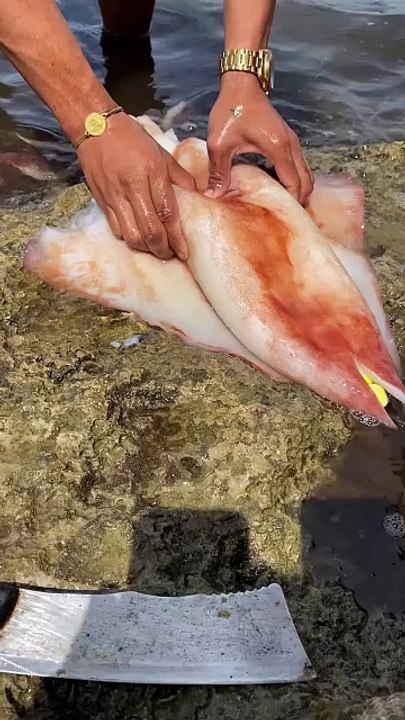 Unbelievable Catch: Snake Inside a Squid! | Rare Asian Seafood Find
