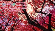 4 March Timeless Birthday Messages