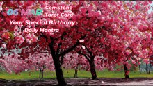6 March Timeless Birthday Meaning