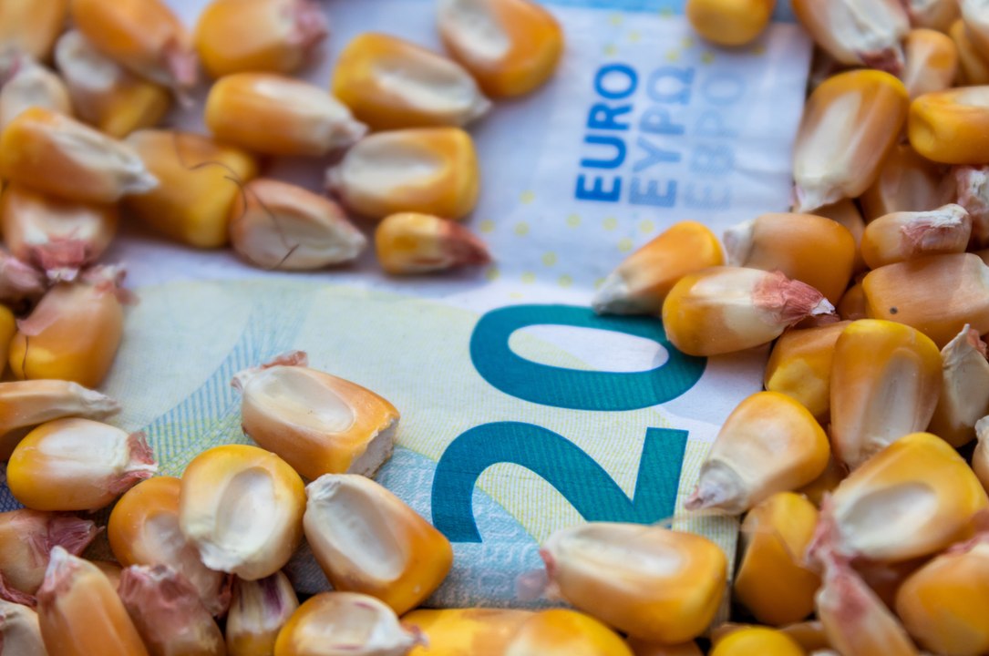 Quels sont les dix drivers qui influencent les prix du maïs ?