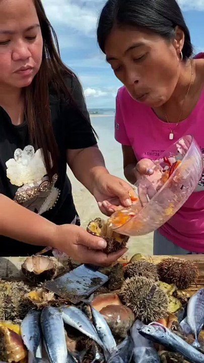 Trying Fresh Sea Urchin Eggs! 🌊🍣 | The Ultimate Ocean Delicacy (Uni)
