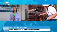 Casos de dengue e chikungunya apresentam queda em Cascavel