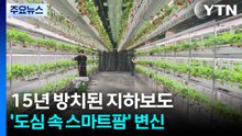 15년 방치된 지하보도...'도심 속 스마트팜' 변신 / YTN