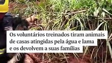 Voluntários resgatam animais após ​chuvas em Juiz de Fora (MG)