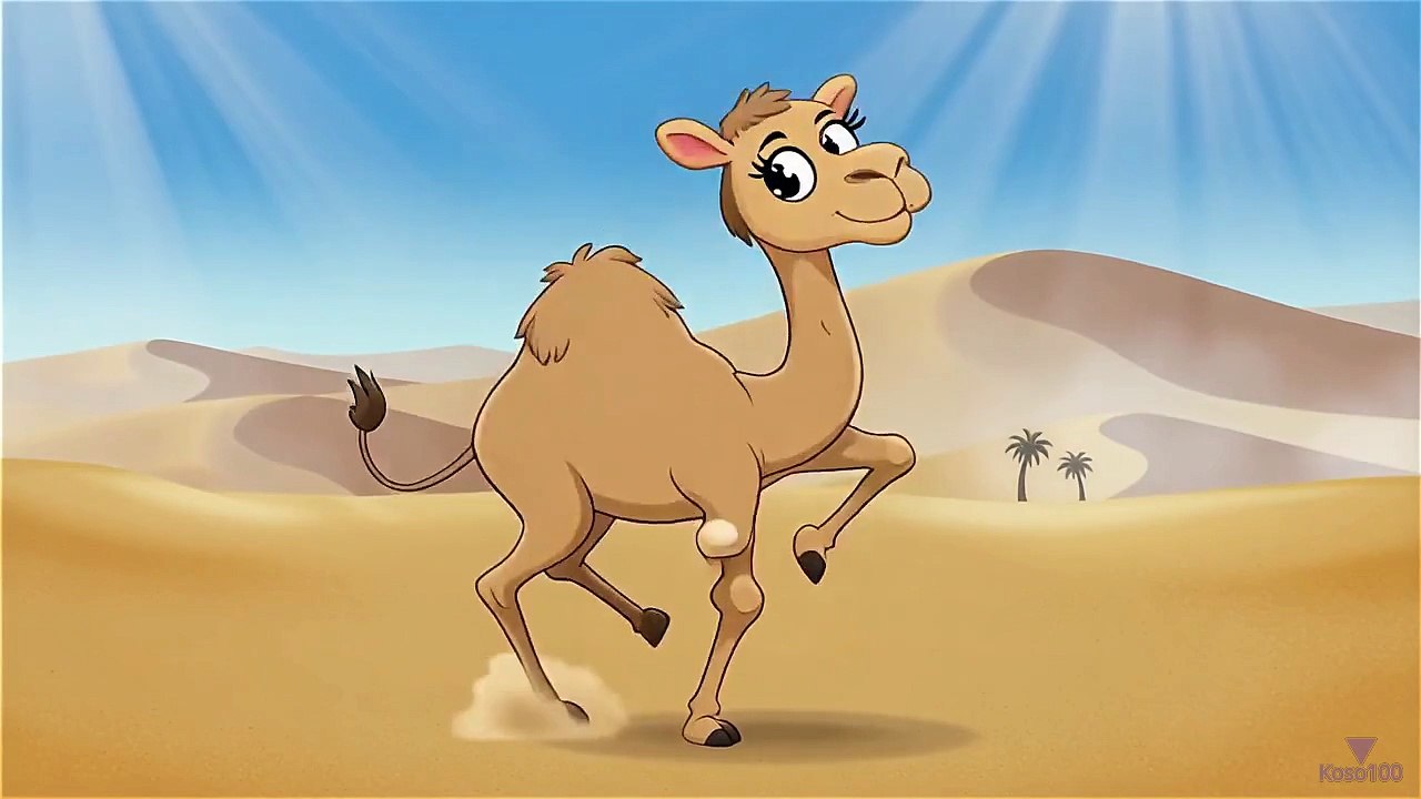 Dancing Camel