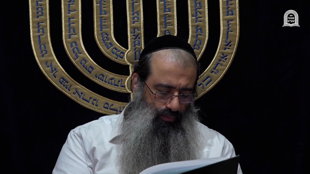 תורת הערכים 04