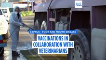 Foot-and-mouth disease: Emergency measures in Cyprus amid livestock farmers' despair