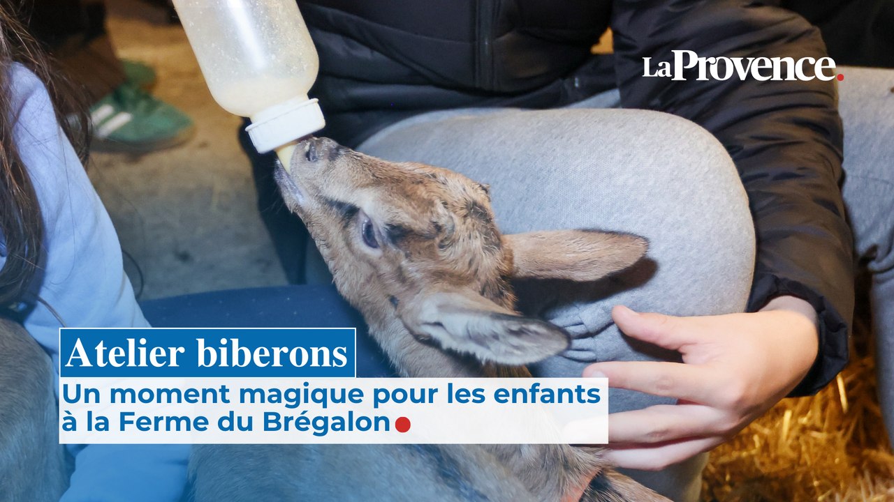 Atelier biberons : Un moment magique pour les enfants à la Ferme du Brégalon