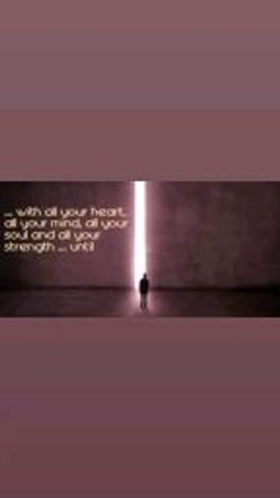 seek