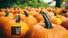 Un estudio revela que las calabazas podrían esconder un secreto mortal