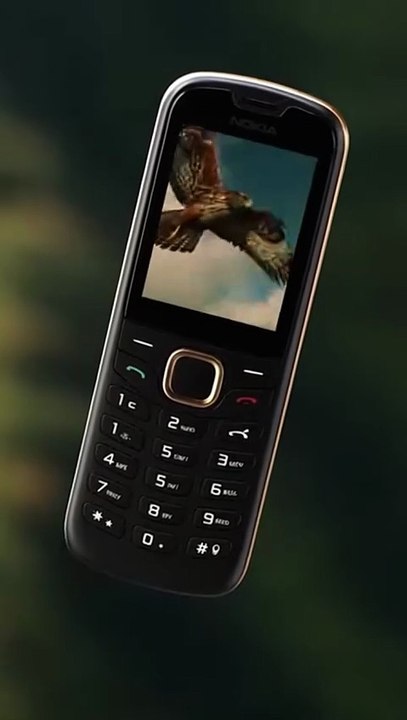 Nokia 6310