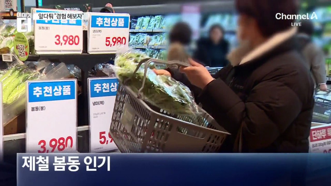 두쫀쿠 눌러버린 봄동…대란에 가격 급등