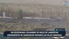 Un descomunal enjambre de miles de langostas procedentes de Marruecos invaden las Islas Canarias