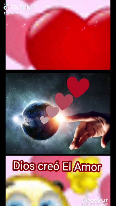 La importancia del Amor ❤️