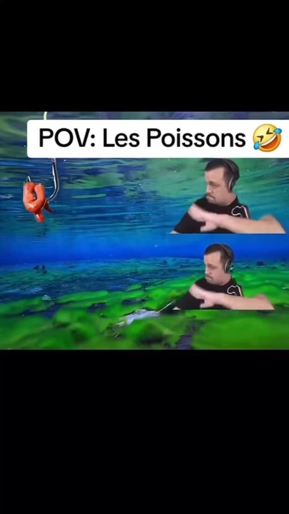 Trop naïf ces poissons 😂