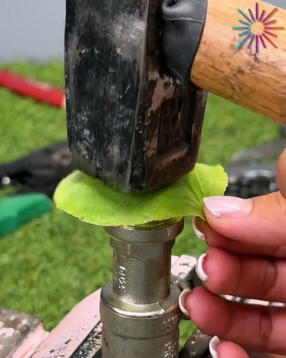 Zero-cost seal trick 🍃