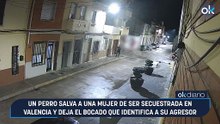 Un perro salva a una mujer de ser secuestrada en Valencia y deja el bocado que identifica a su agresor