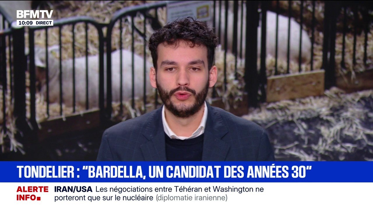"Des propos inutiles dans le combat face au RN": Théo Am'Saadi (Jeunes Républicains) réagit à la déclaration de Marine Tondelier sur Jordan Bardella, qualifié de "candidat des années 30"