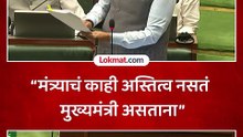 मुख्यमंत्रीच सर्वेसर्वा असतात, देवेंद्र फडणवीसांनी कुणाकुणाला सुनावलं?