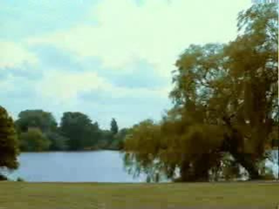 le FishBurger de McDonald's