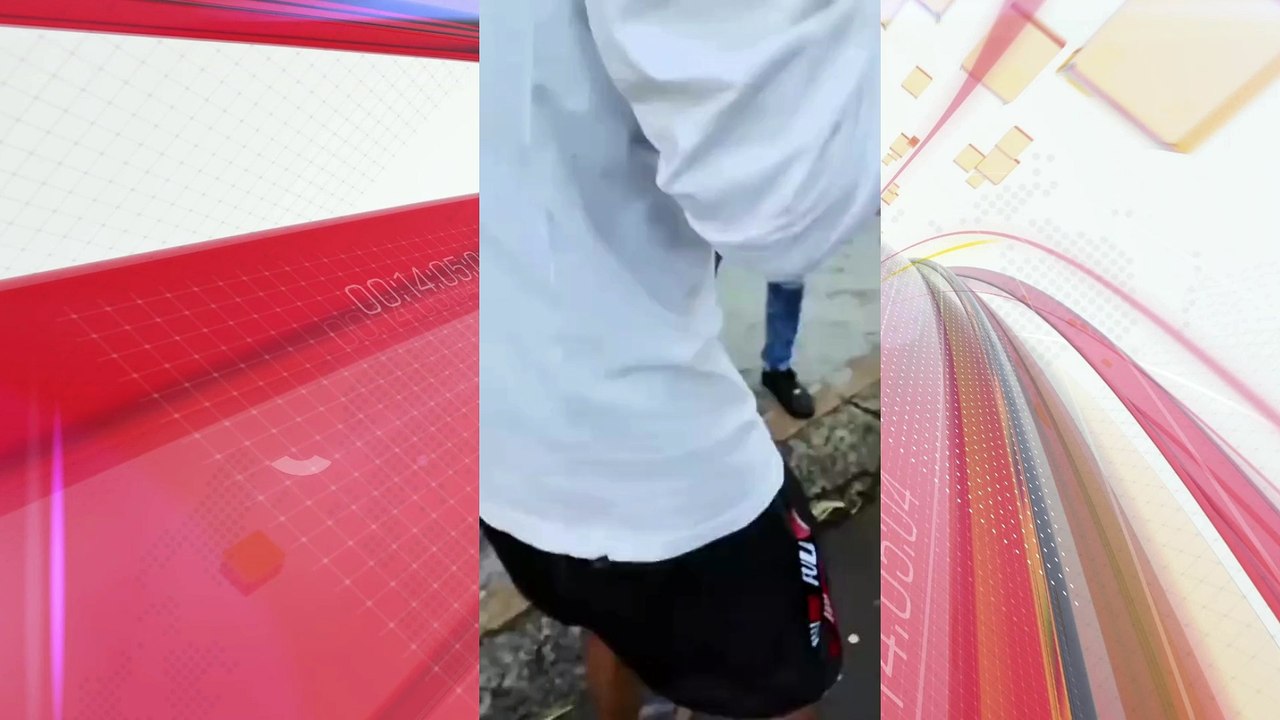 Infestação de pulgões gera reclamações na Vila São Carlos em Apucarana