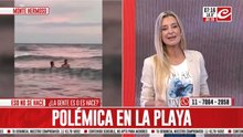 Polémica en la playa: pareja sacó un pinguino del mar para tomarse fotos