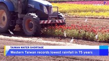 Water Shortages Likely as Western Taiwan Sees Lowest Rainfall in 75 Years