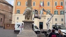 Operazioni in corso per riparare la zanna dell'elefante della Minerva a Roma