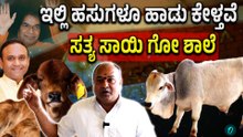 ಗೋವುಗಳನ್ನ ರಾಯಲ್ಲಾಗಿ ನೋಡಿಕೊಳ್ತಾರೆ ಸಾಯಿ ಭಕ್ತರು
